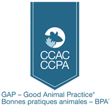 Ruban Bonnes pratiques animales BPA