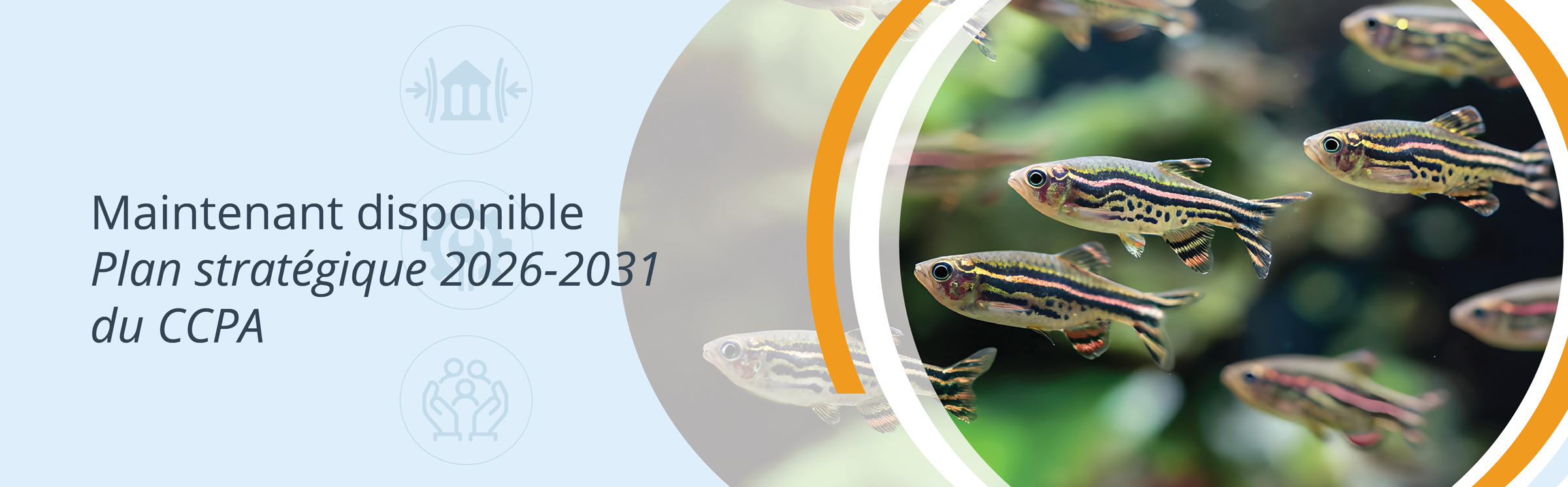 Plan stratégique 2026-2031 du CCPA