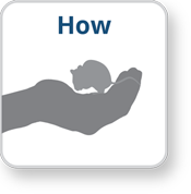 How An illustration of a hand holding a mouse