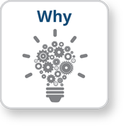 Why An illustration of a lightbulb