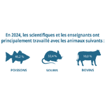 Quelques chiffres pour l’année 2024